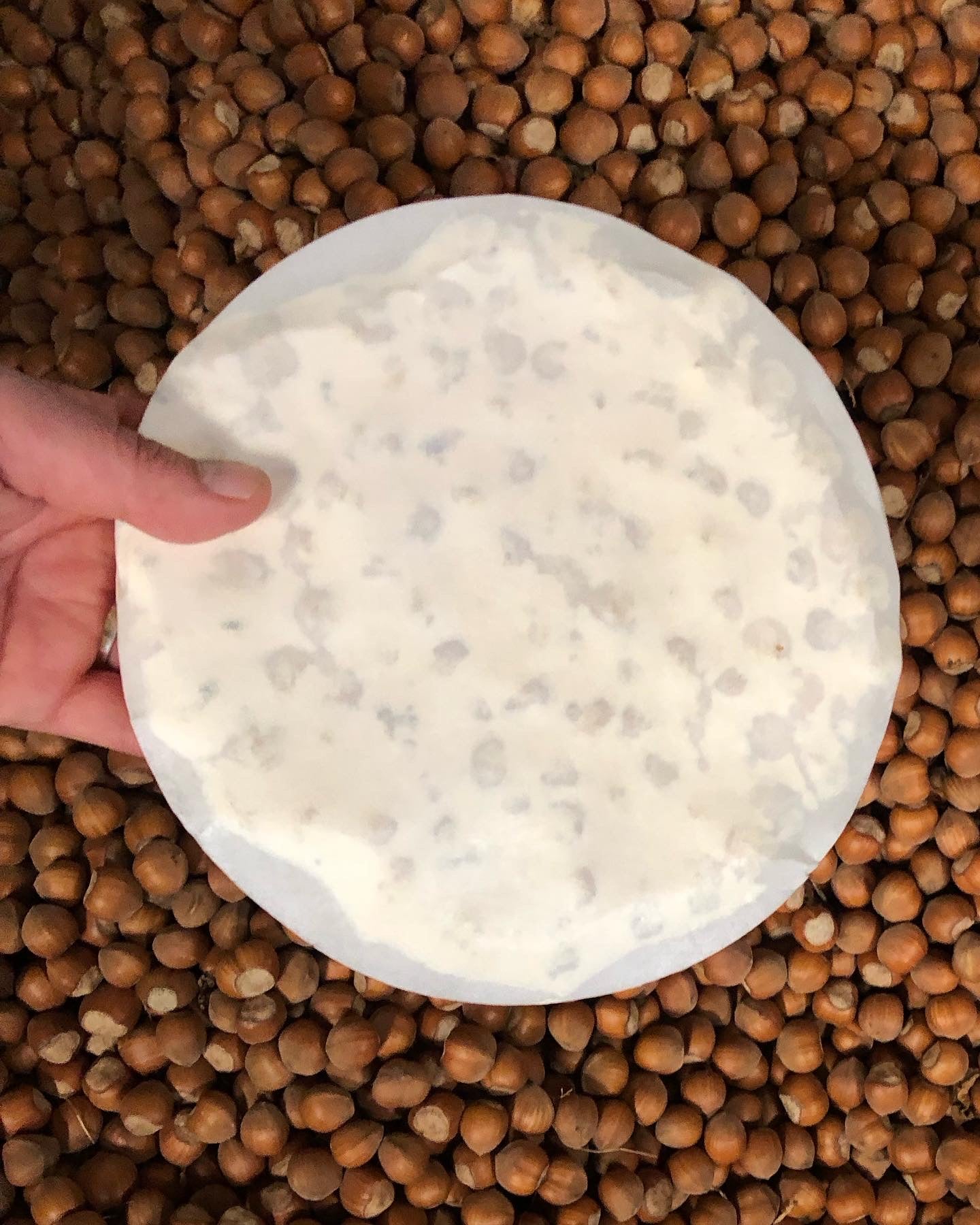 TORTA TURRÓN DE AVELLANA