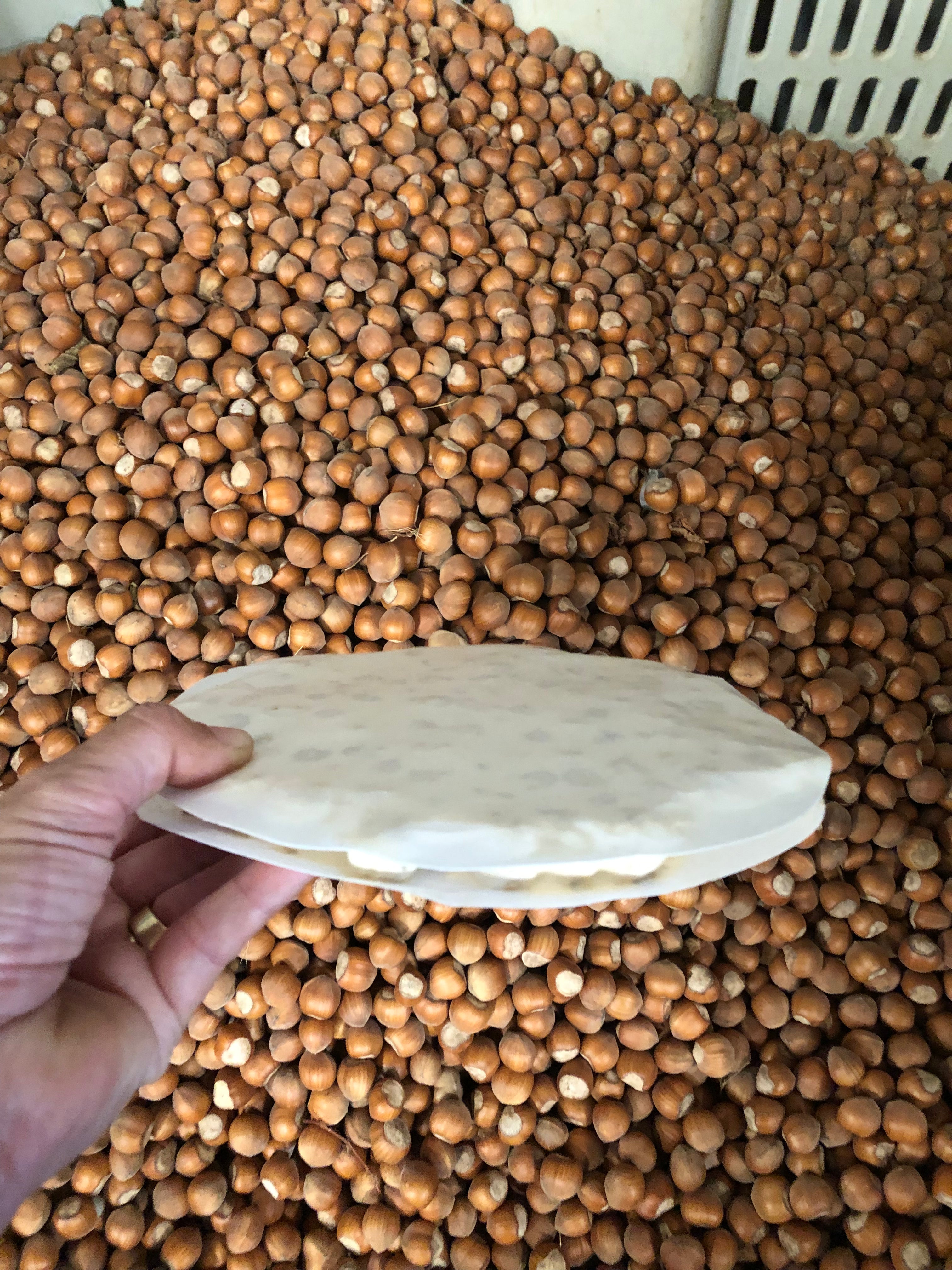 TORTA TURRÓN DE AVELLANA